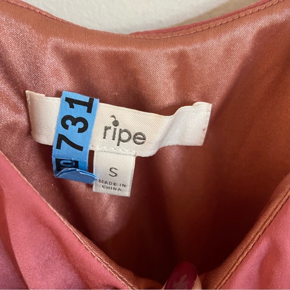 Ripe Maternity Nursing Slip Dress - Picture 10 of 10